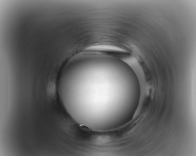 X0000089890500200707051231