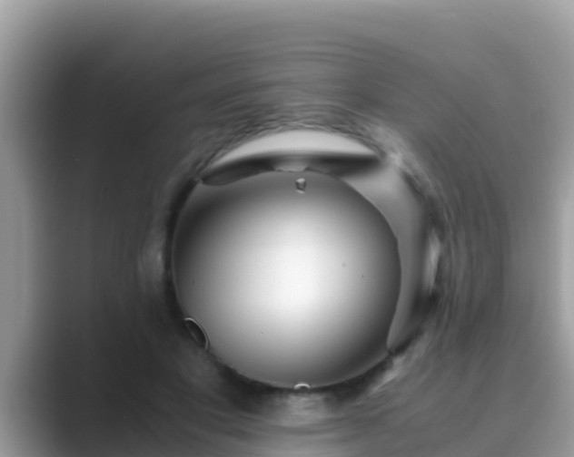 X0000089890501200707051231