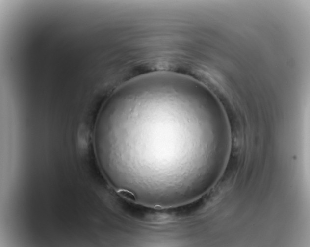 X0000089890503200707051231