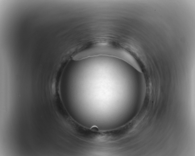 X0000089890504200707051231