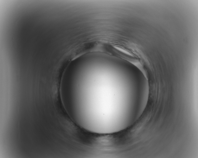 X0000089890505200707051231