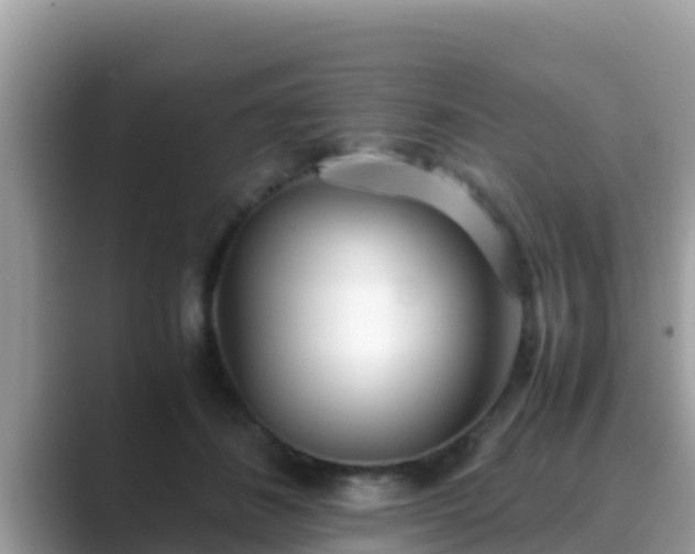 X0000089890508200707051231