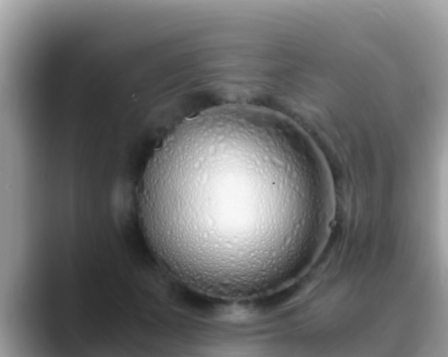 X0000089890511200707051231