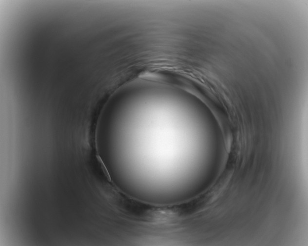 X0000089890512200707051231