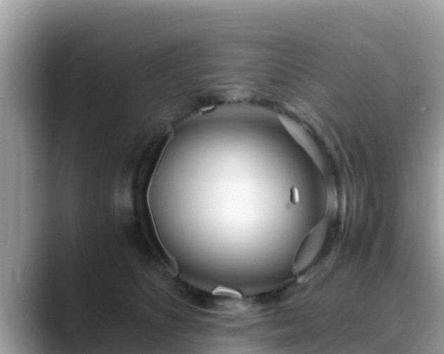 X0000089890516200707051230