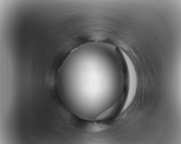 X0000089890517200707051230