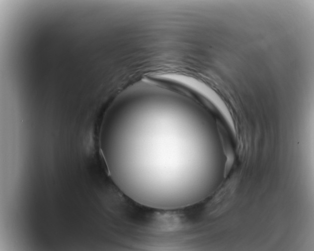 X0000089890520200707051230