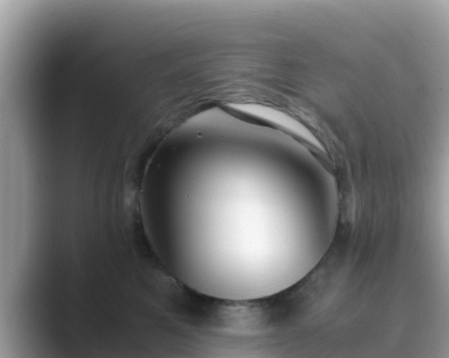 X0000089890521200707051230