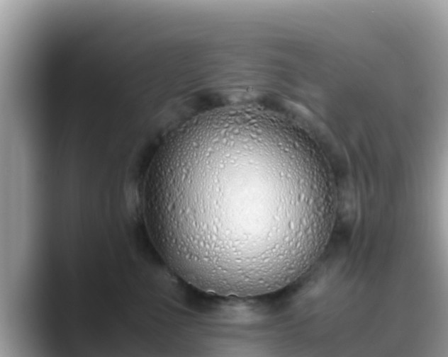 X0000089890523200707051230