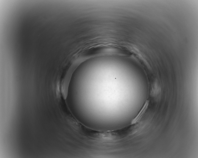 X0000089890524200707051230