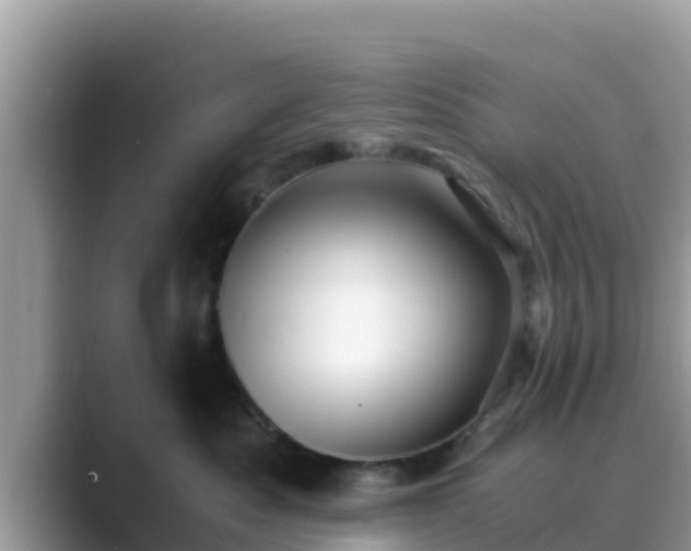 X0000089890525200707051230