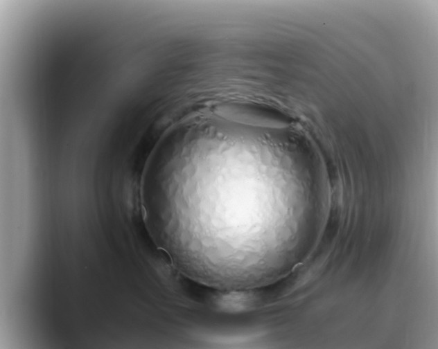 X0000089890527200707051230