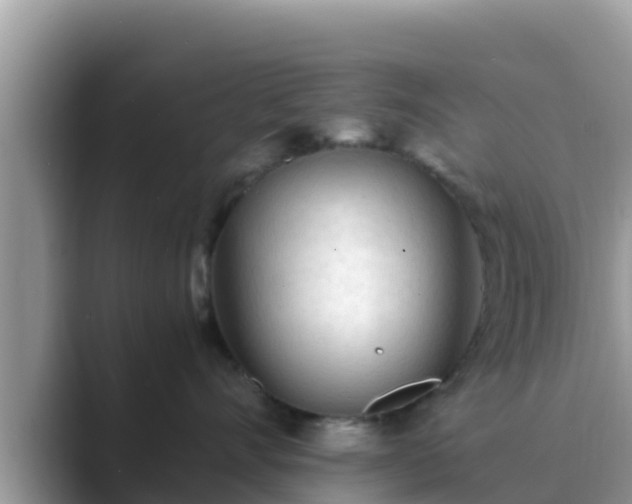 X0000089890528200707051230