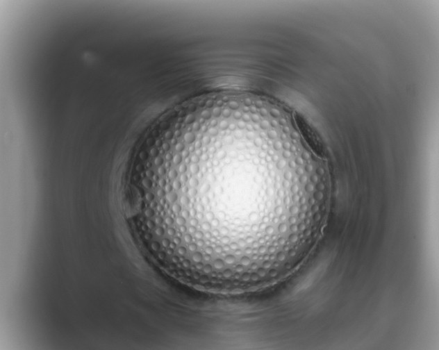 X0000089890529200707051230