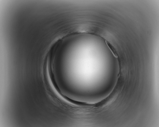 X0000089890530200707051230