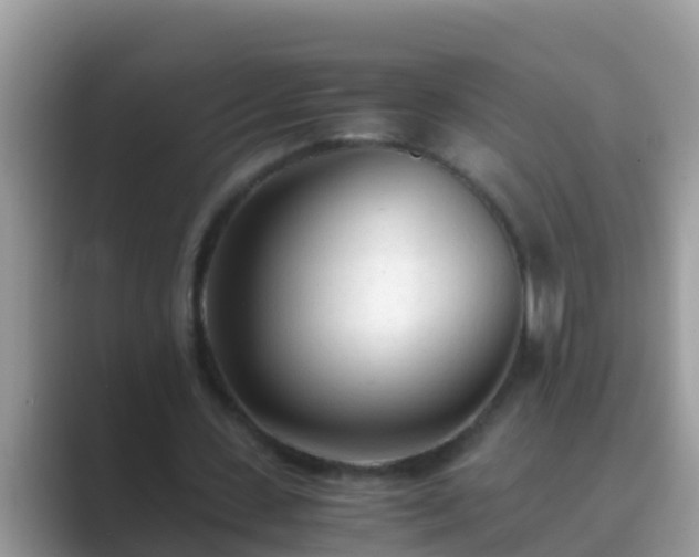 X0000089890531200707051230