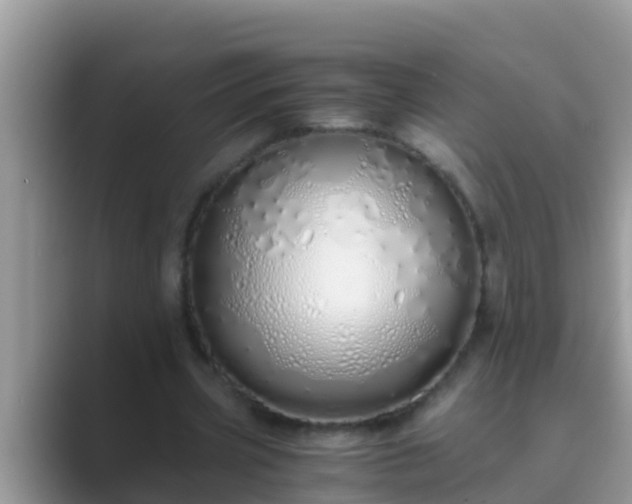 X0000089890533200707051230