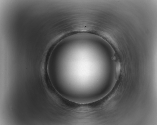 X0000089890536200707051230