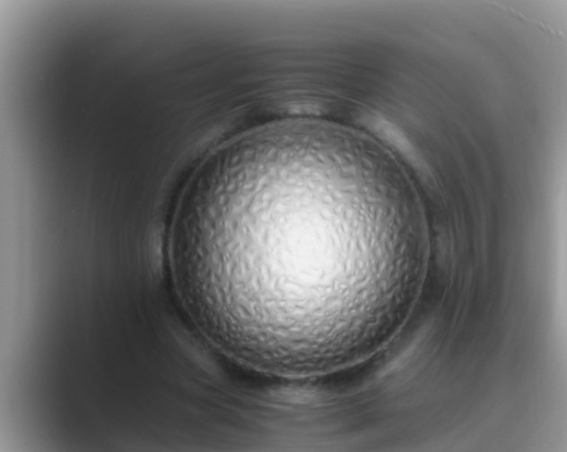 X0000089890537200707051230