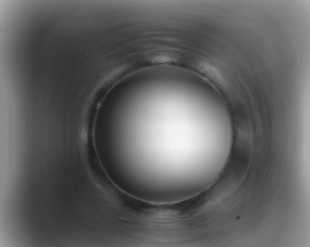 X0000089890539200707051230