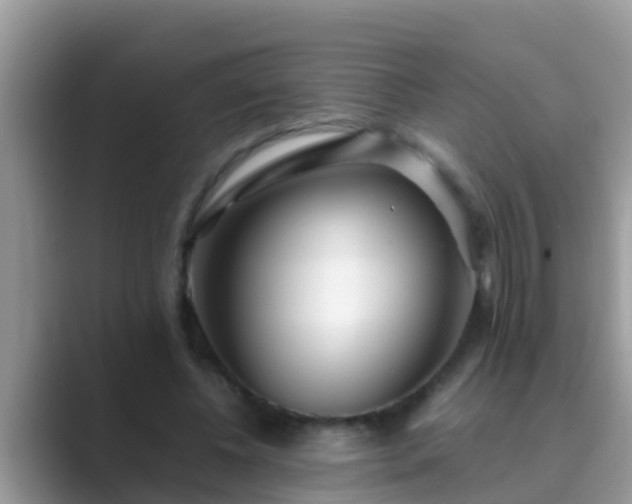 X0000089890540200707051230