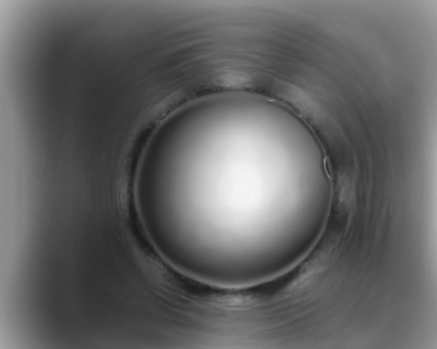 X0000089890542200707051230