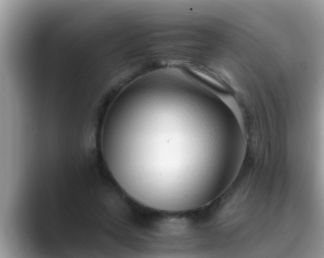 X0000089890543200707051230