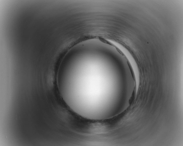 X0000089890544200707051230