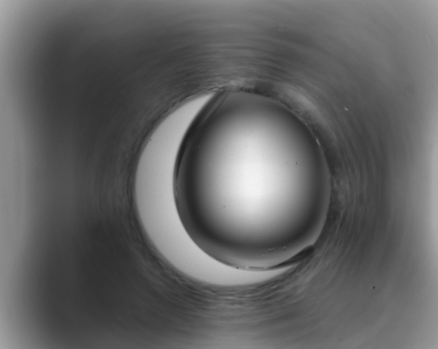 X0000089890546200707051230