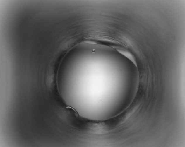 X0000089890548200707051230