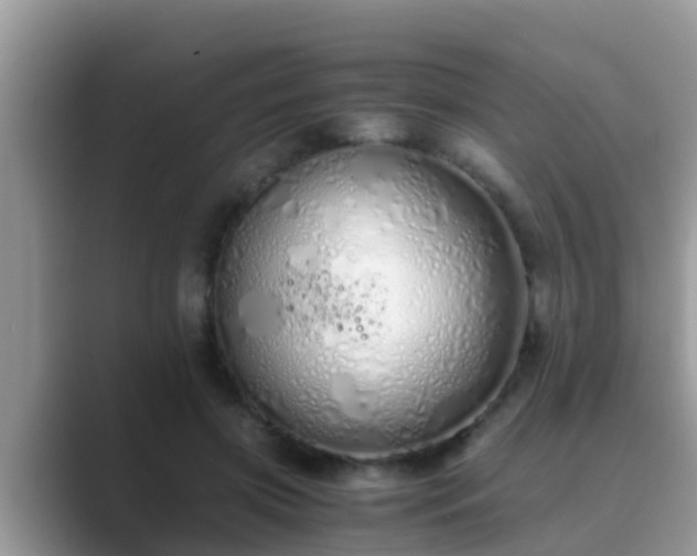 X0000089890549200707051230