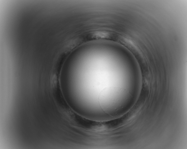 X0000089890551200707051230