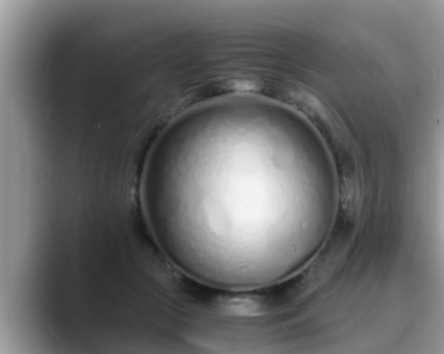 X0000089890553200707051230