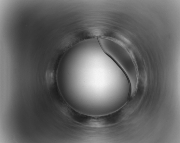 X0000089890556200707051230