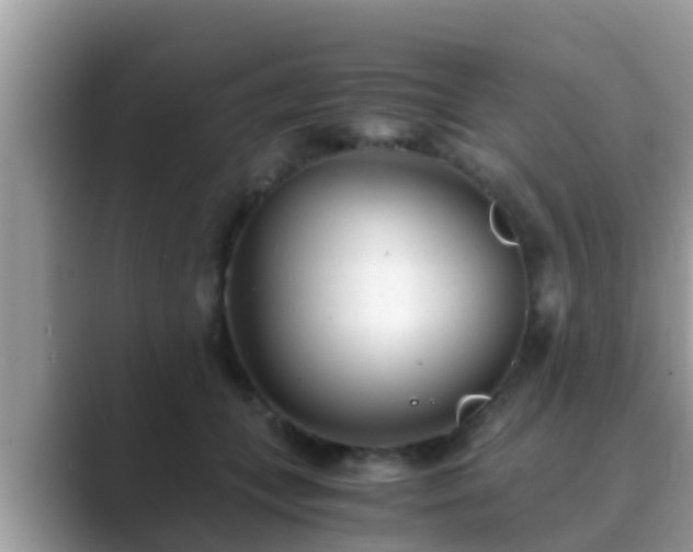 X0000089890559200707051230