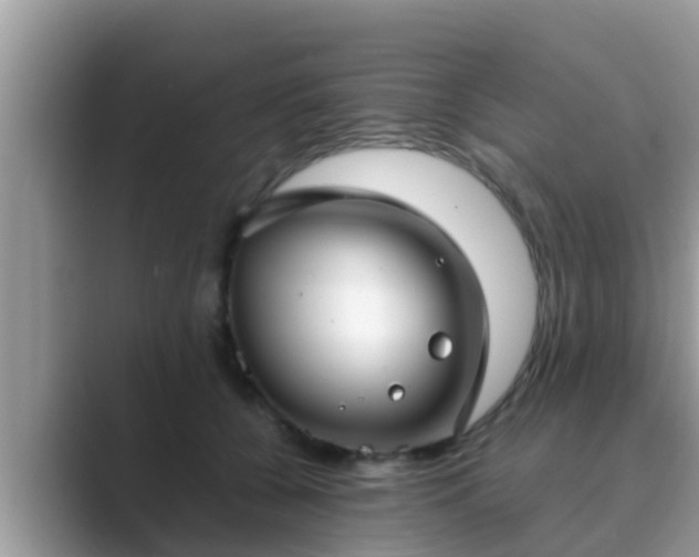 X0000089890560200707051230