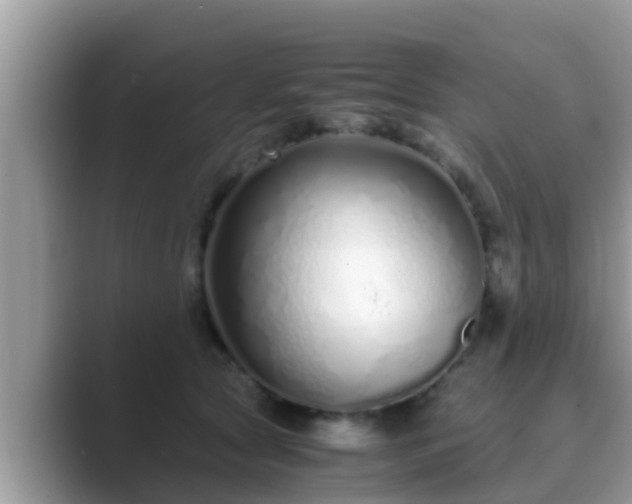 X0000089890561200707051230