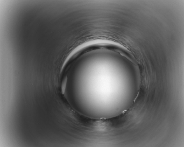 X0000089890562200707051230