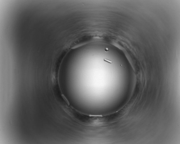 X0000089890564200707051230