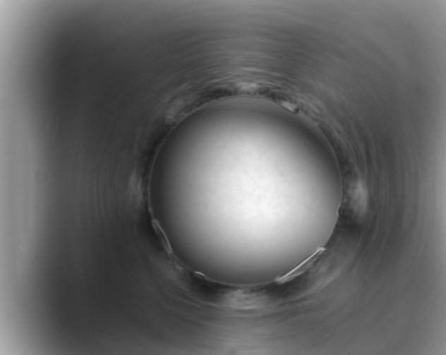 X0000089890568200707051230