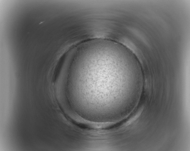 X0000089890577200707051230