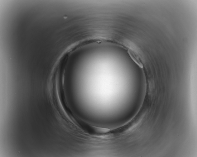 X0000089890580200707051230