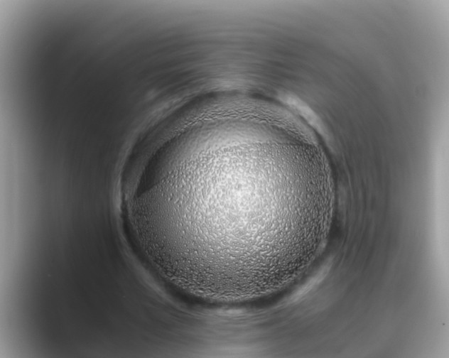 X0000089890581200707051230