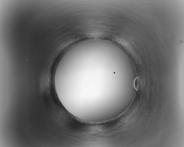 X0000089890583200707051230