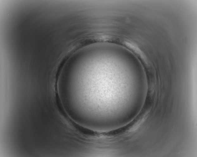 X0000089890585200707051230