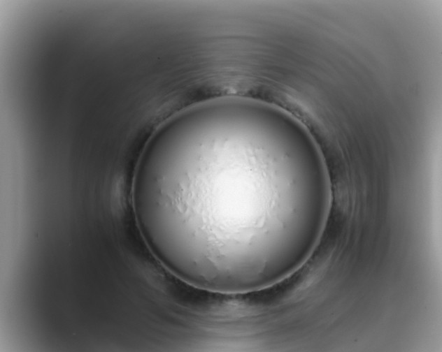 X0000089890594200707051230