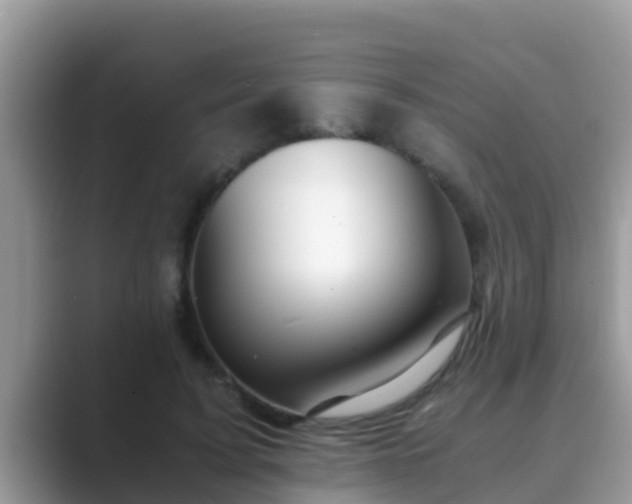 X0000089890595200707051230