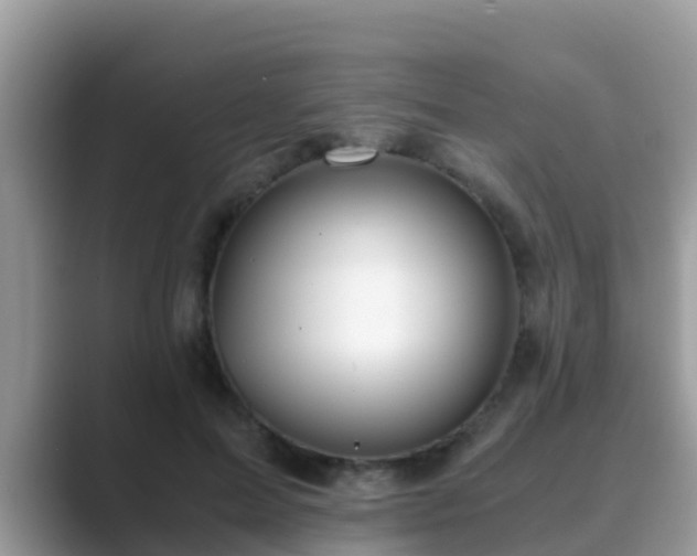 X0000089890599200707051230