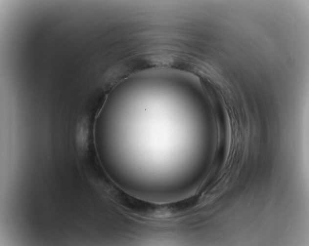 X0000089890600200707051230