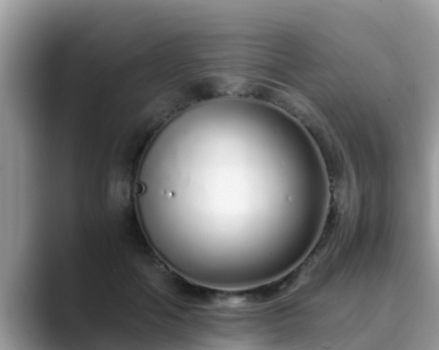 X0000089890602200707051229